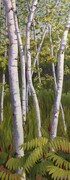 " Sunlit River Birches"